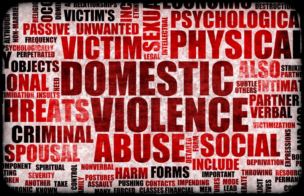 Domestic Violence The National Prevention Toolkit 